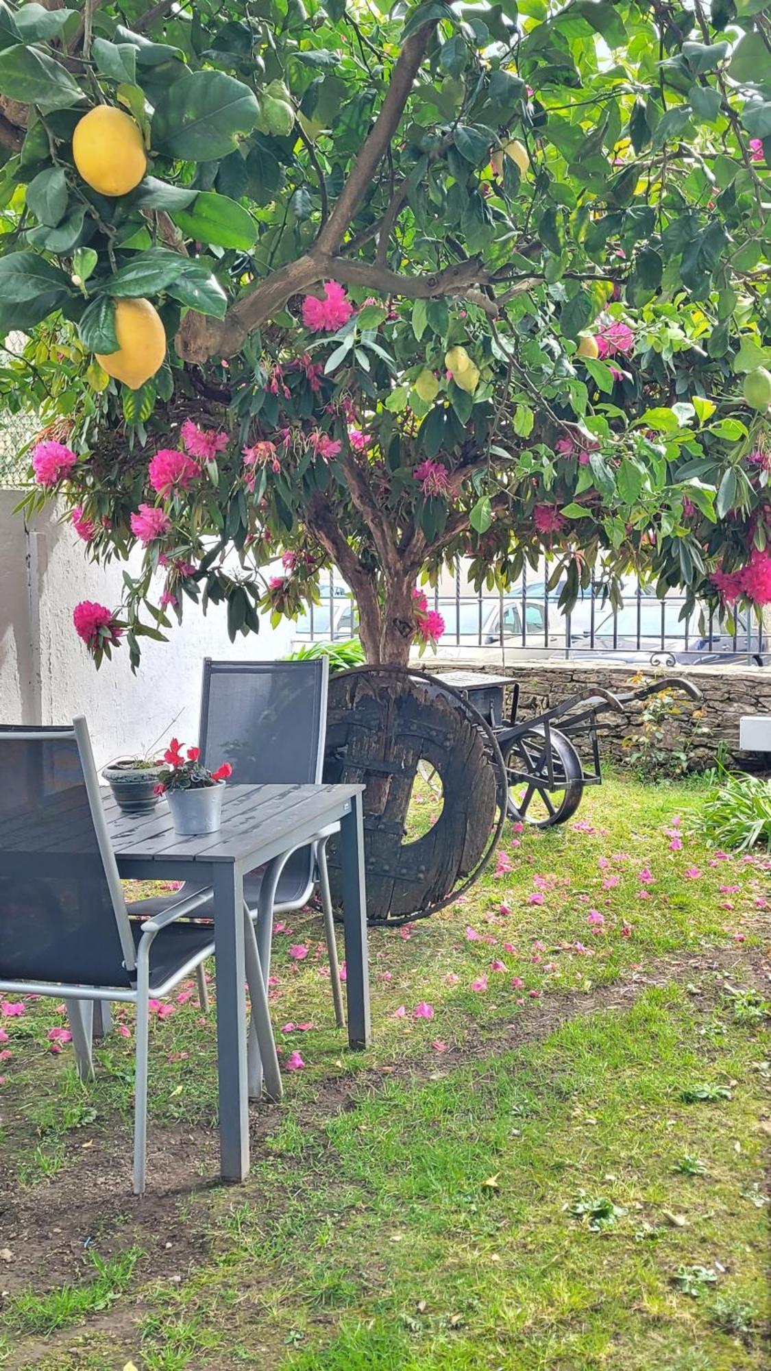 Besbello Suites Apartamento Santiago de Compostela Luaran gambar