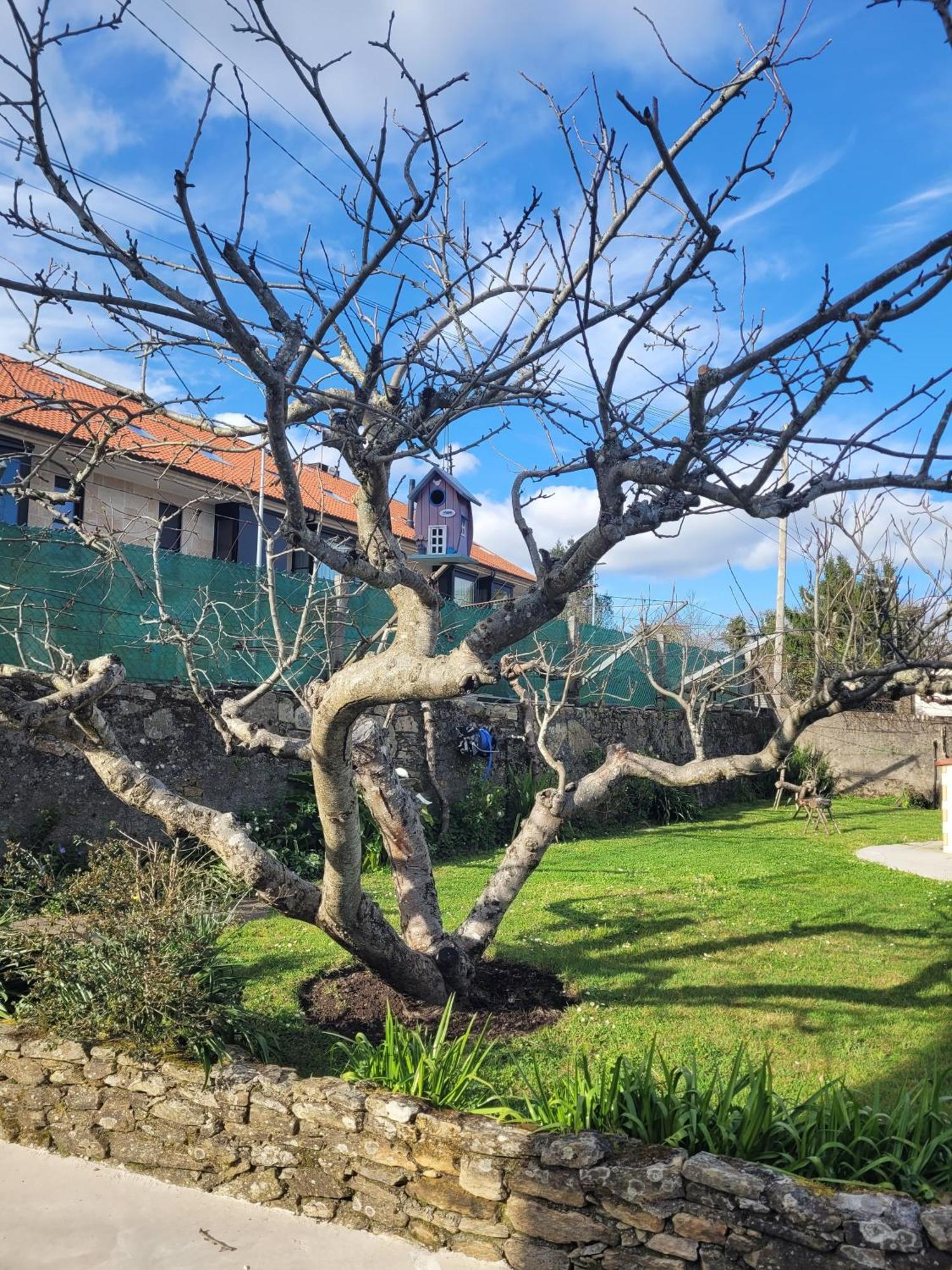 Besbello Suites Apartamento Santiago de Compostela Luaran gambar
